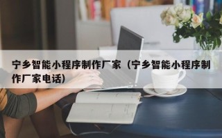 乐清宁乡智能小程序制作厂家（宁乡智能小程序制作厂家电话）