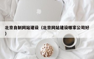 乐清北京自制网站建设（北京网站建设哪家公司好）
